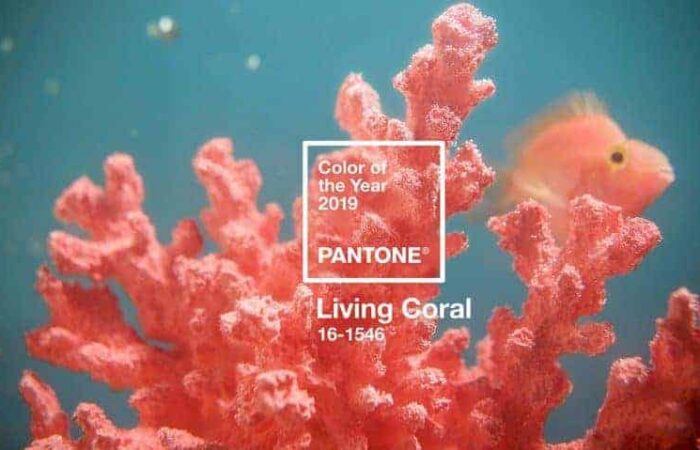 Pantone обяви цвета за годината: жив корал