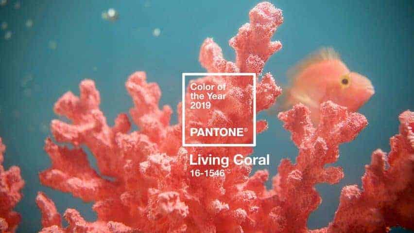 Pantone обяви цвета за годината: жив корал